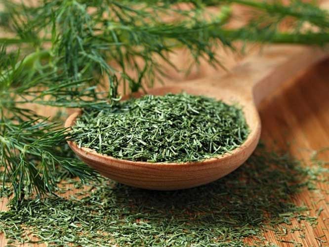 بررسی تاثیرات گیاه شوید بر کاهش وزن
