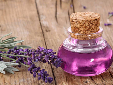Properties of lavender oil for skin